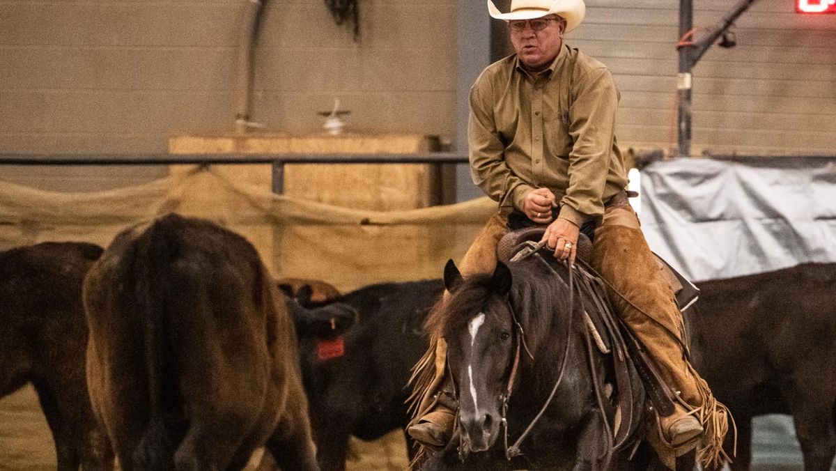 13 Rodeo Stay Chatham Cutting Classic Cutting Horse Show