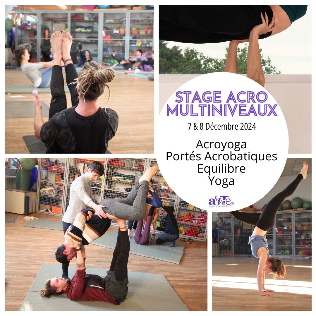 Stage ACRO MULTINIVEAUX