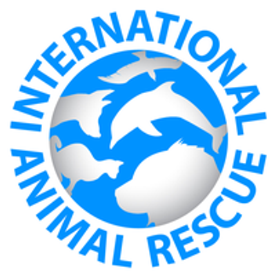 International Animal Rescue