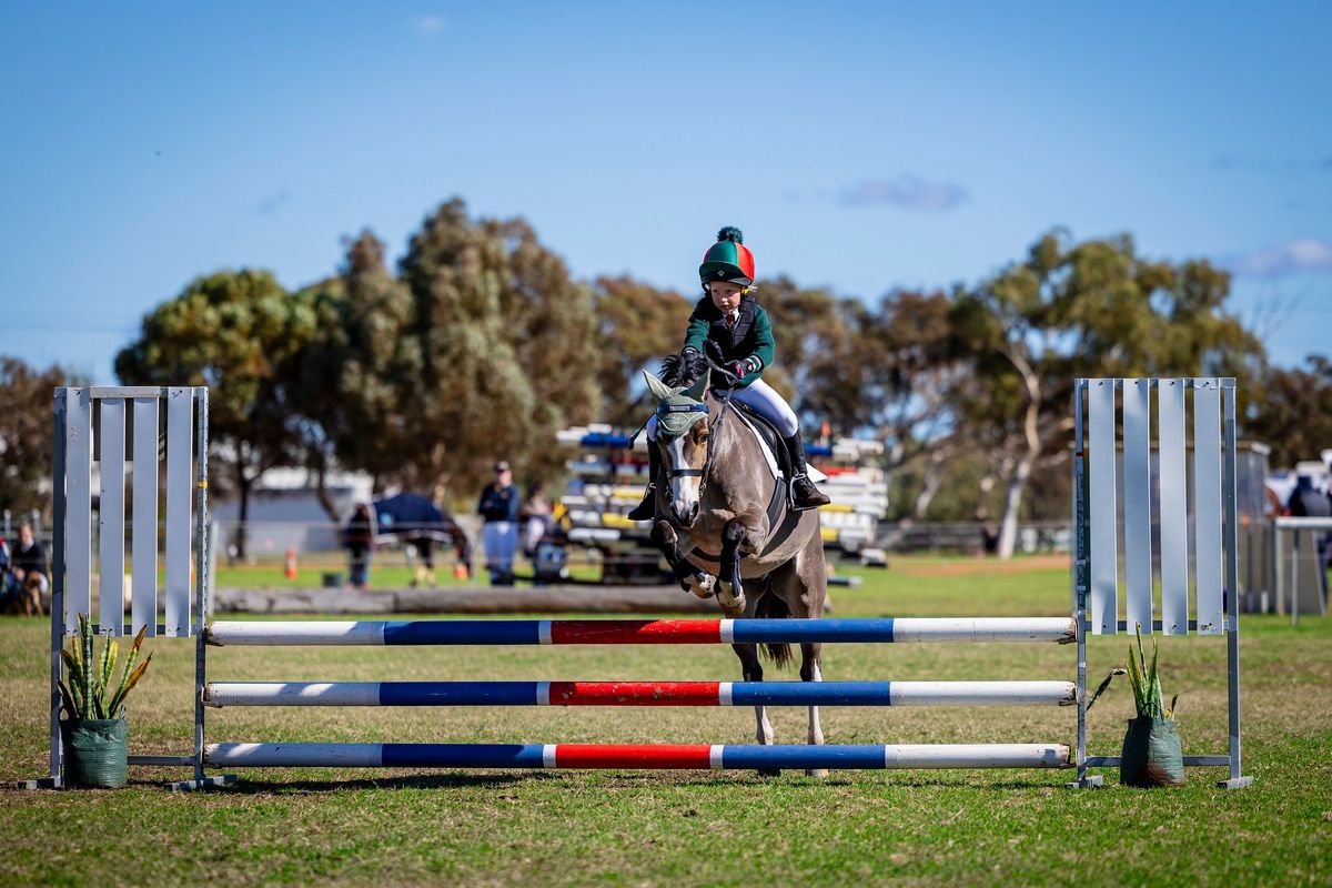 Joining Day and Showjump Training Rounds 