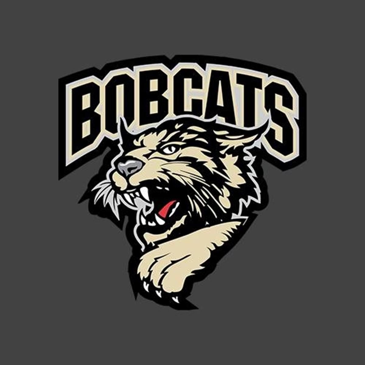 Bismarck Bobcats vs. Aberdeen Wings