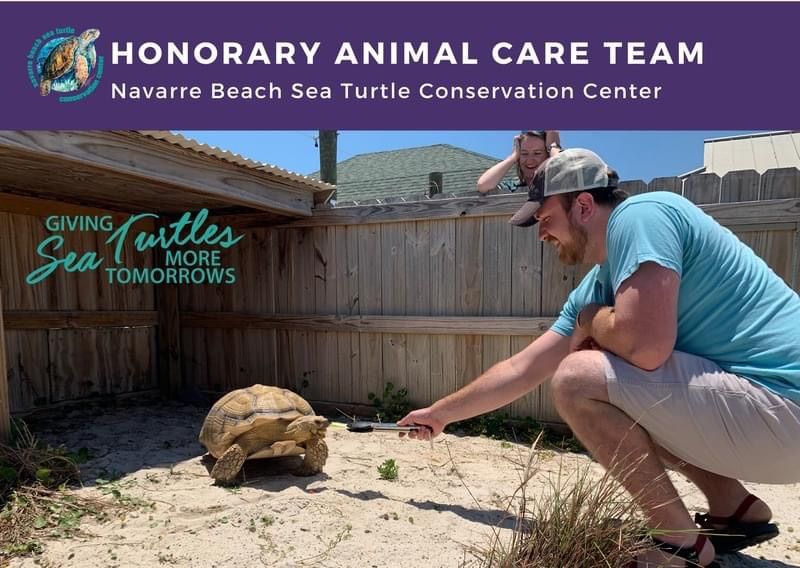 Honorary Animal Care Team Experience