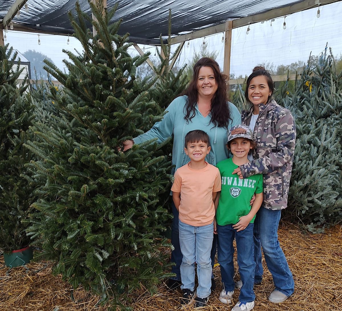 Bledsoe Family Farms Christmas Tree Farm