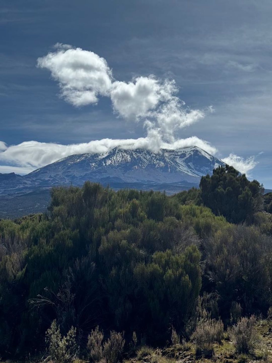 Tag med til toppen af Kilimanjaro.