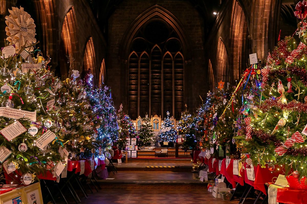 Christmas Tree Festival Night