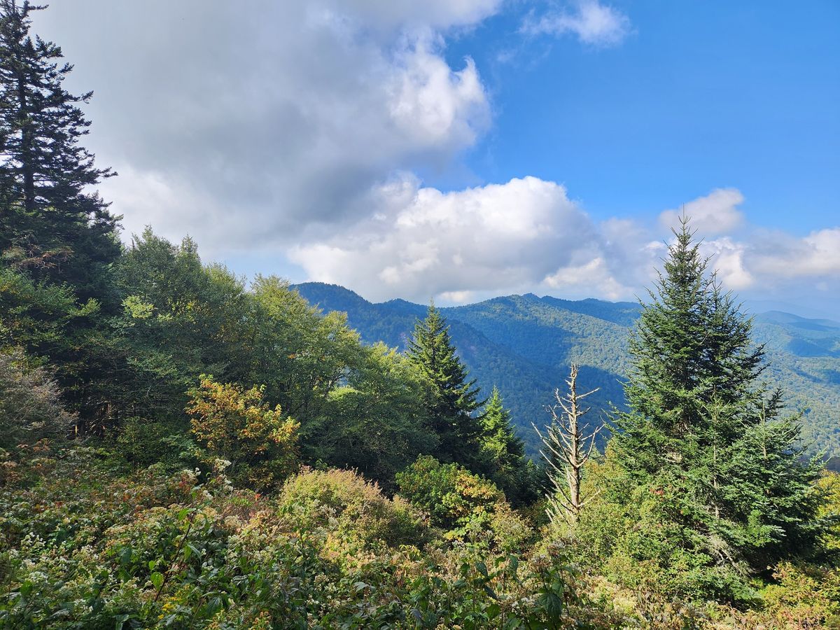 Best of the Smokies Backpacking Trip: October 26-29, 2024