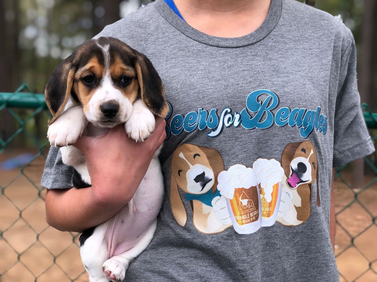 Beers for Beagles 2025 at Lonerider Wake Forest