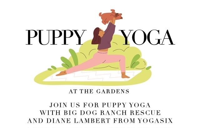 Puppy Yoga at The Gardens