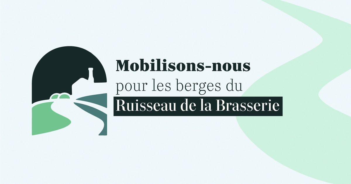 Mobilisons-nous pour les berges du Ruisseau de la Brasserie !