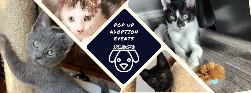 12.21.24 Forepaws Pop Up Adoption Event