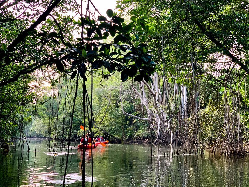 Khatib Bongsu River Trail