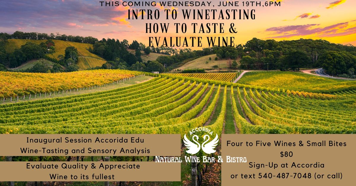 Special Event, Accordia Edu - How to taste & evaluate wine