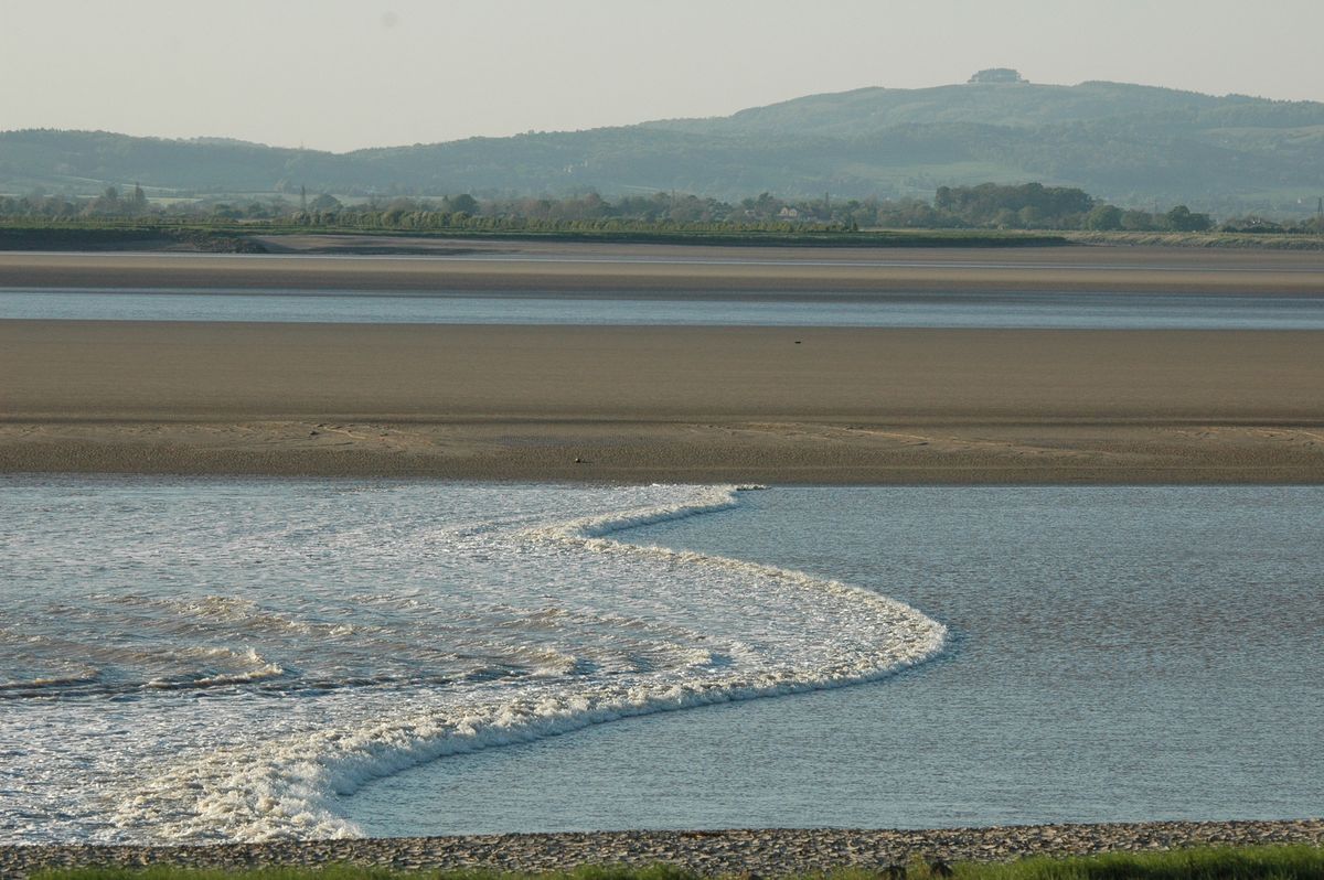 Severn Bore Safari