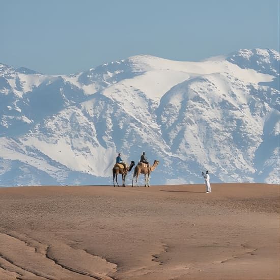 Agafay Camel Ride & Ourika Valley in Atlas mountains