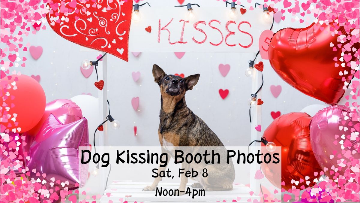 Dog Kissing Booth Photos!