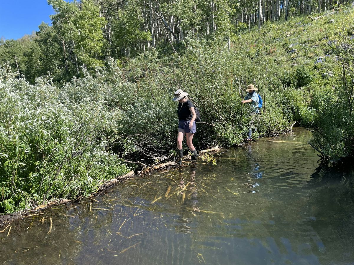 Day Trip: Dee Mills Beaver Ponds (Ride with Zoo)