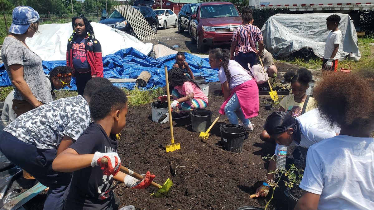 Volunteer at Coit Road Farmers Market