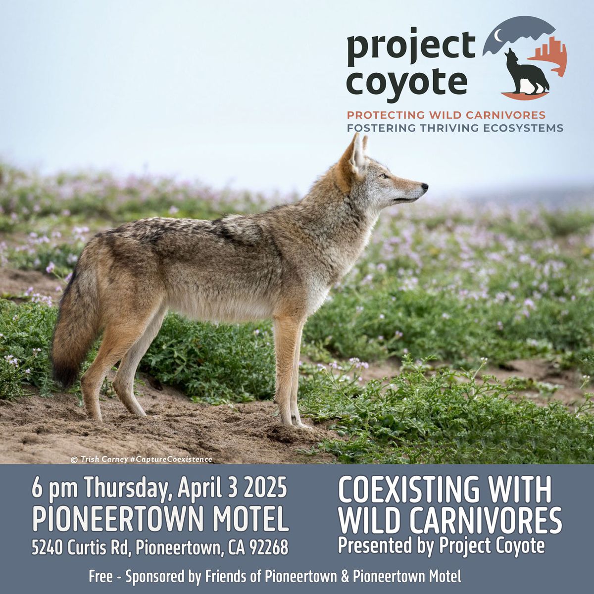 Coexisting with Wild Carnivores presented by Project Coyote