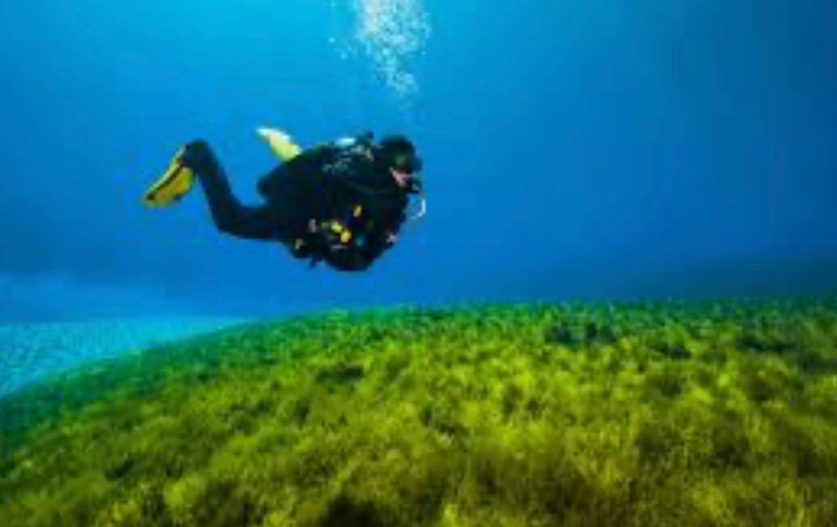 Salem Scuba, Specialty Diving at Clearlake