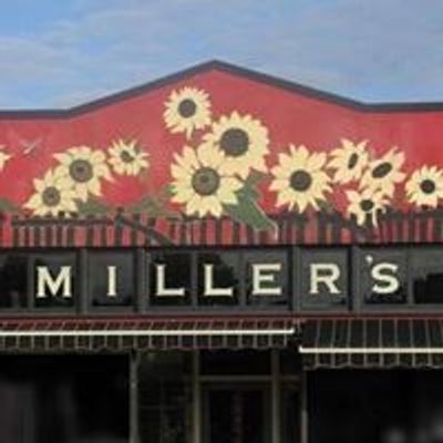 Millers Carnation
