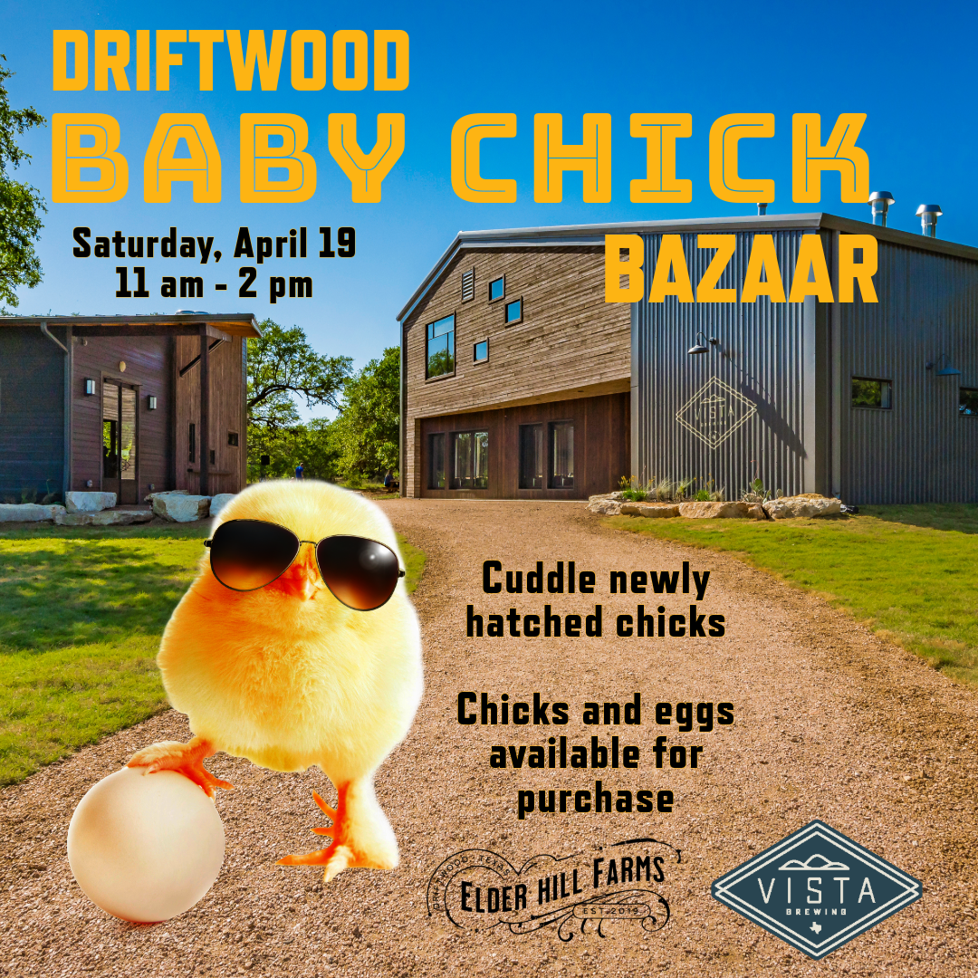 Driftwood at The Evening Muse