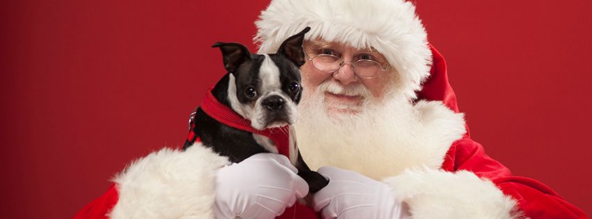 Pet Pics with Santa