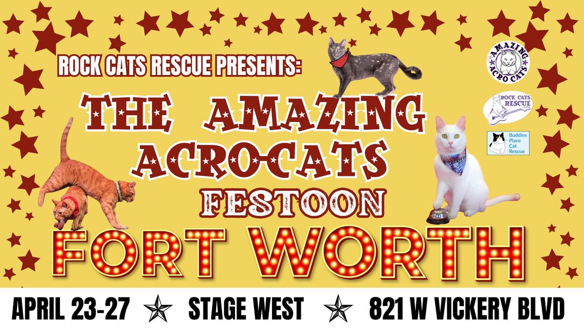 The Amazing Acro-Cats Festoon Fort Worth!