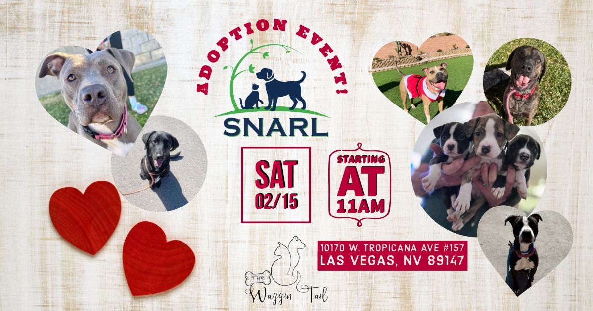 ADOPTION EVENT - SNARL + The Wagging Tail