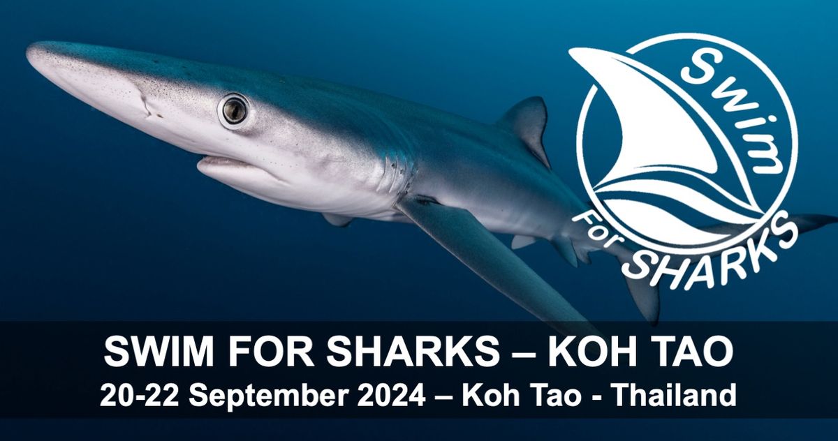 Swim for Sharks 2024, Koh Tao, Thailand