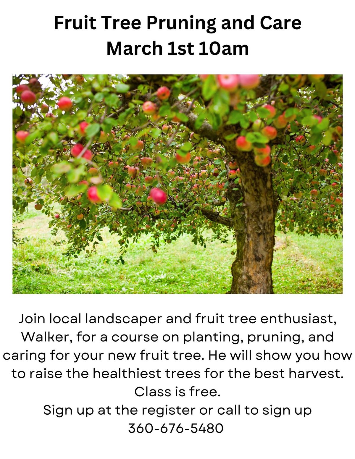 Fruit Tree Pruning and Care