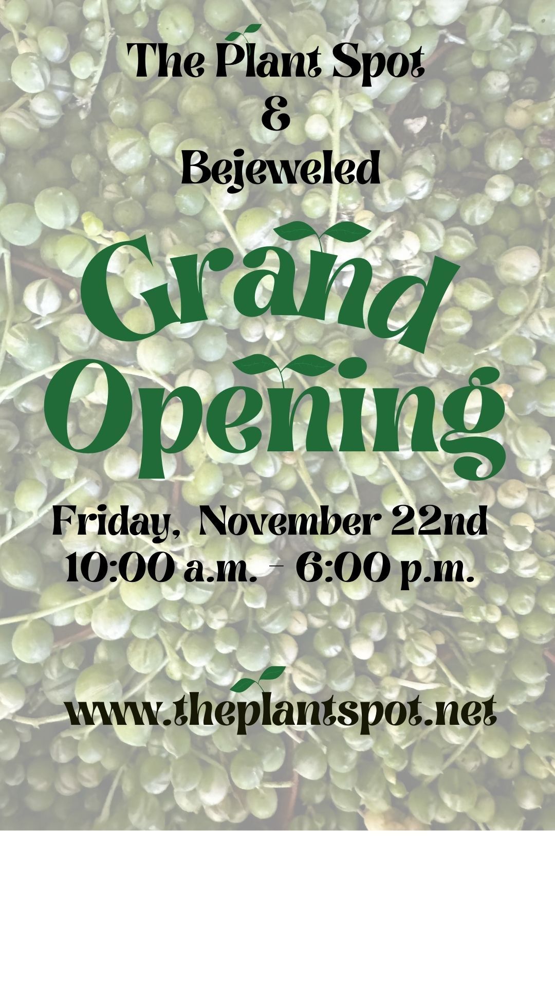 Grand Opening