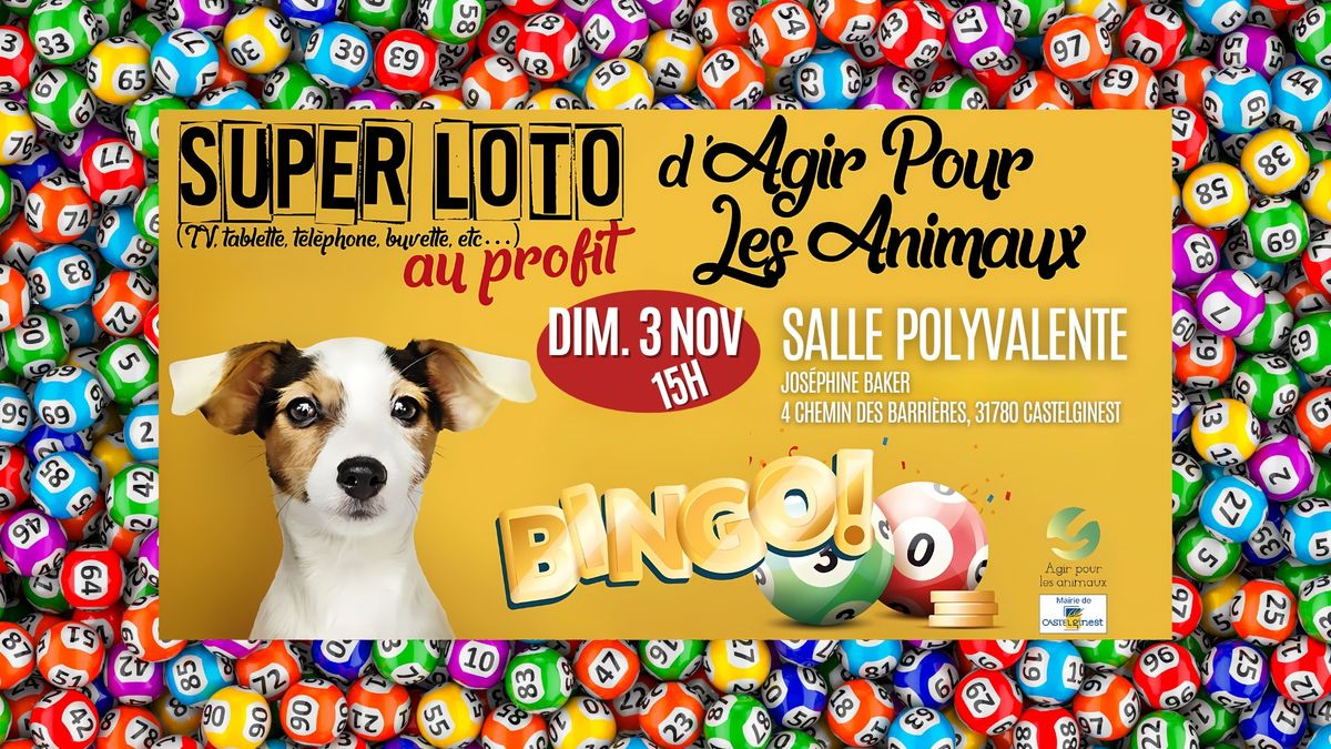 \ud83c\udf89 SUPER LOTO au profit du Refuge