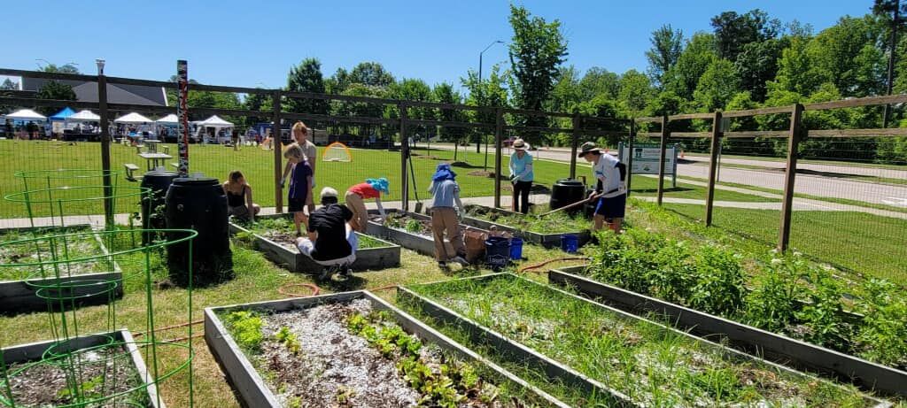 Year-Round Gardening: Melon\/Squash Plant & Bean Giveaway