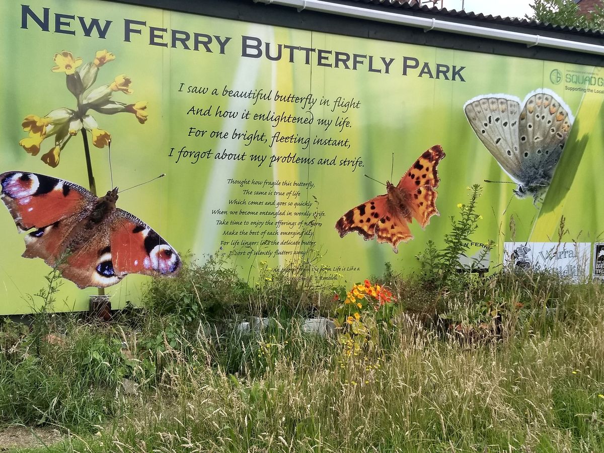 New Ferry Butterfly Park Work Day