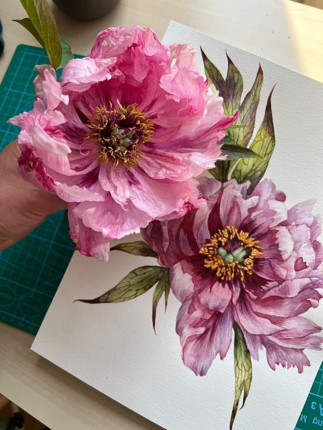 Pink Peony Watercolour Workshop with Rita Gould