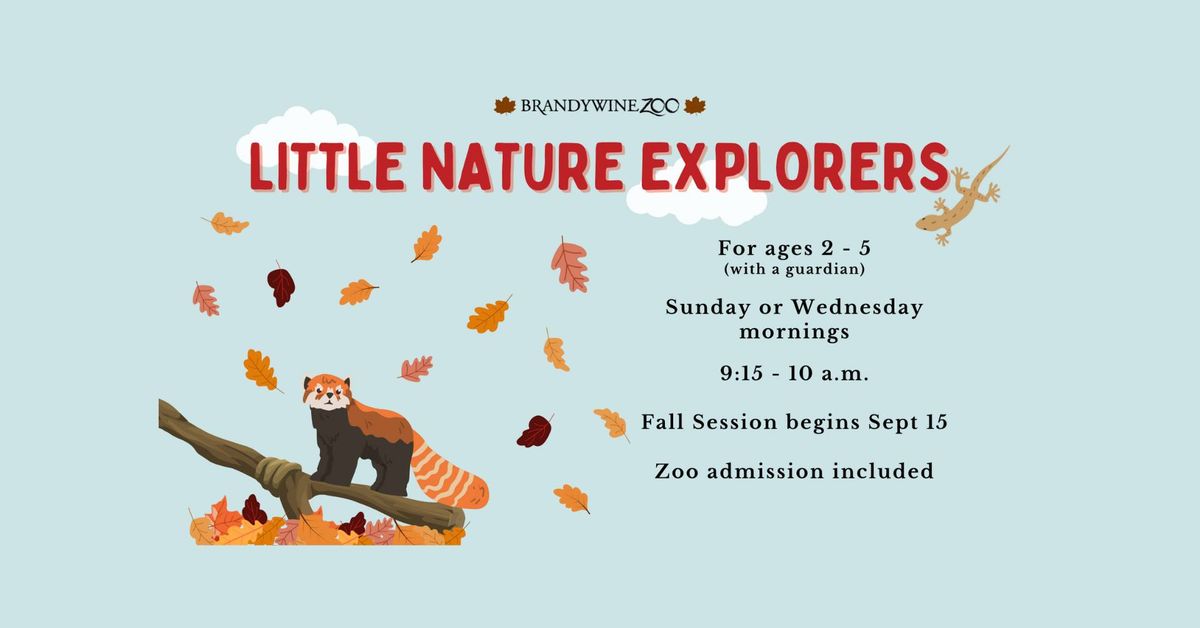 Little Nature Explorers Session 20