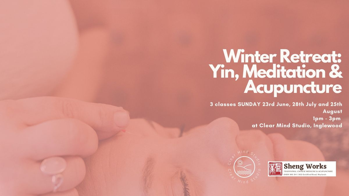 Winter Retreat: Yin, Meditation & Acupuncture