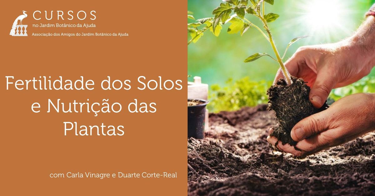 Fertilidade dos Solos e Nutri\u00e7\u00e3o das Plantas