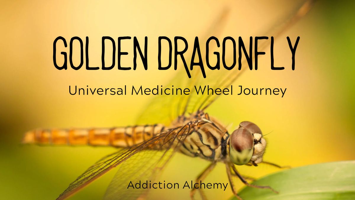 Golden Dragonfly Journey : Universal Medicine Wheel