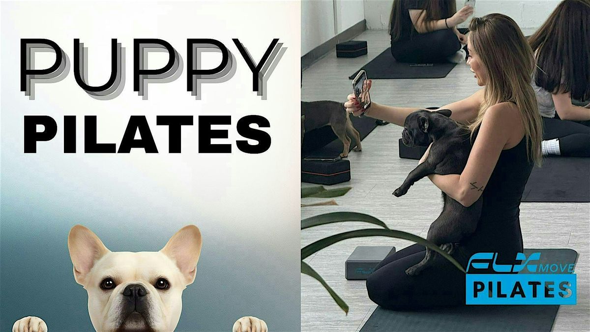 Puppy Pilates
