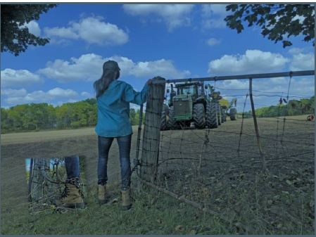 She Won't Come in from the Fields - a live performance and conversation with Dale Colleen Hamilton