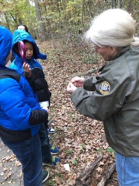 JUNIOR NATURALISTS- Ecology