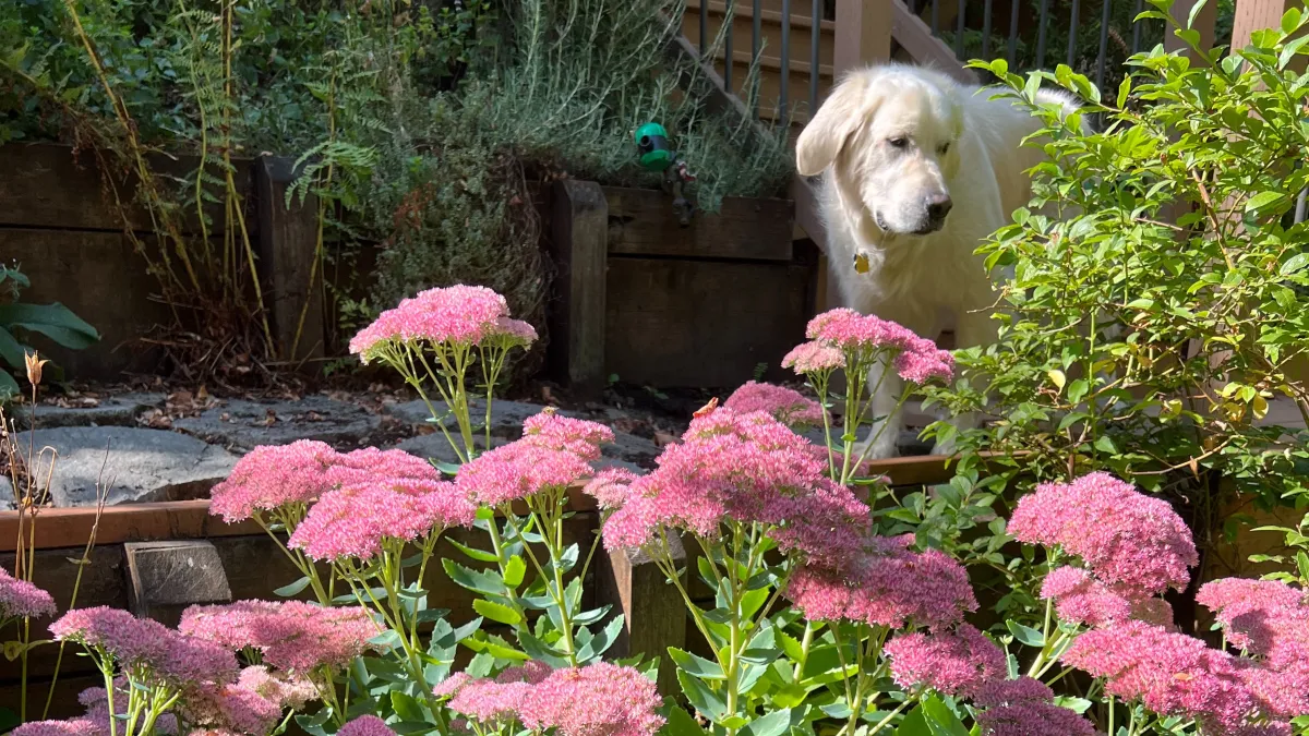 Conversations Meeting