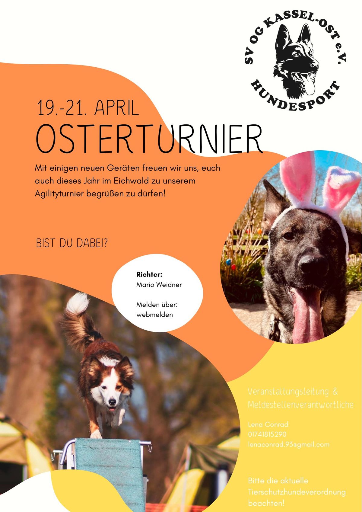 Osterturnier Agility