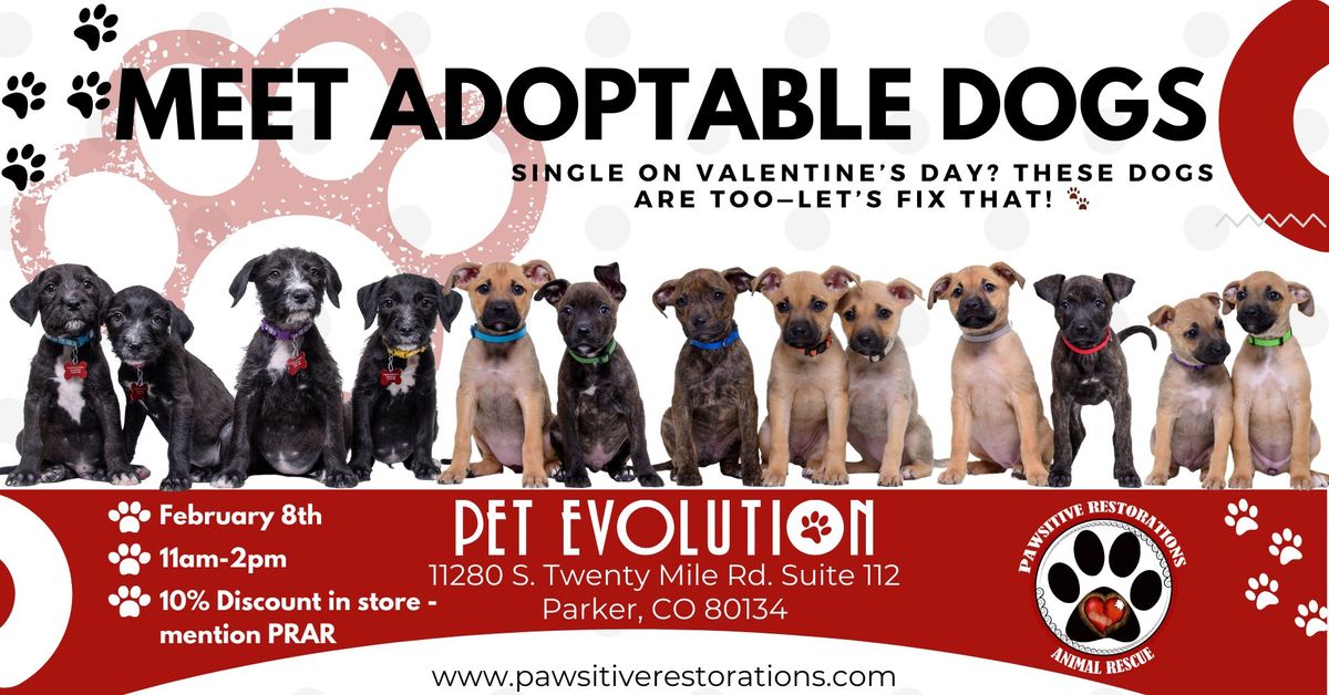 Puppy Speed Dating: Find Your Furry Soul Mate at Pet Evolution!