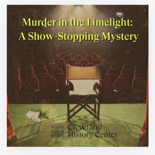 Murder in the Limelight: A Show Stopping Mystery