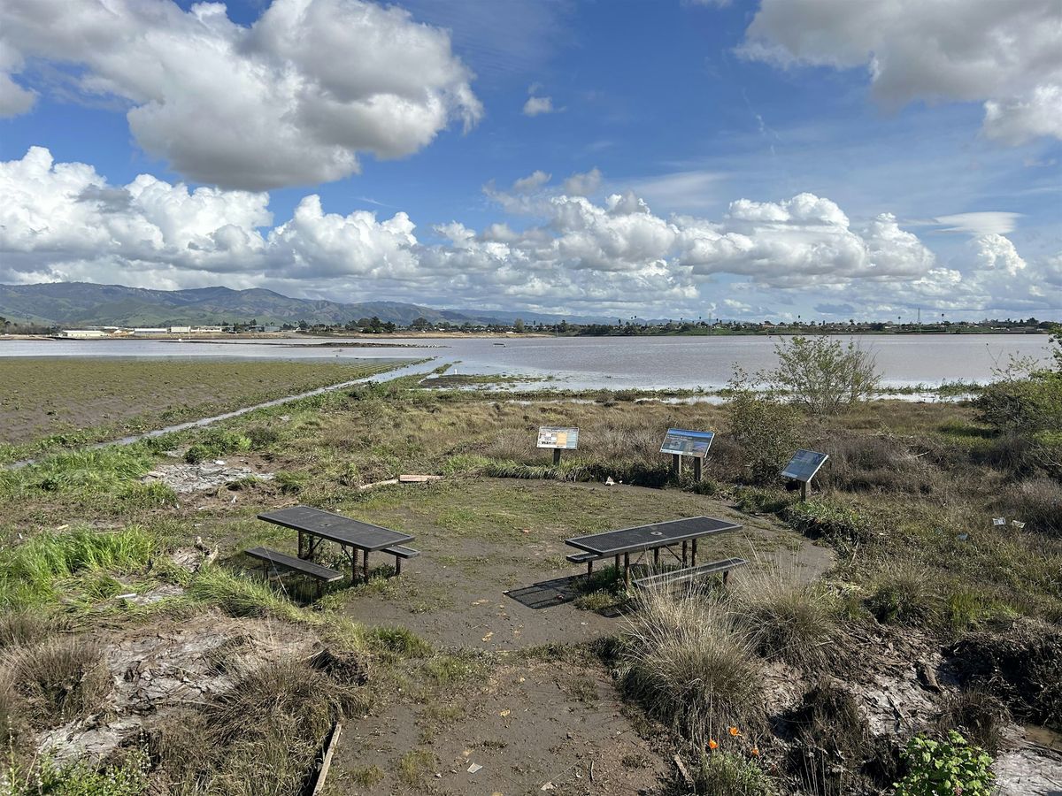 The Story of Water at Ensen Community Park & Holiday Crafts
