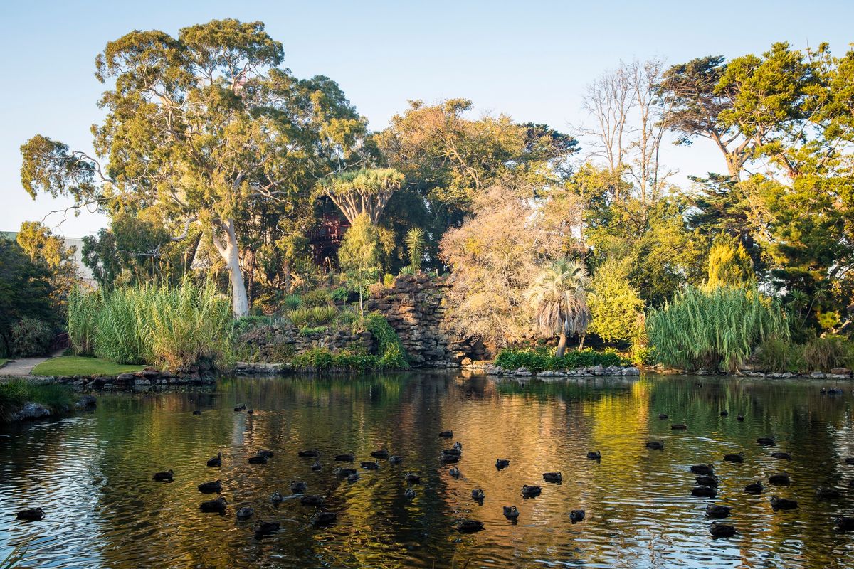 Australian Heritage Festival | Significant Trees of Rippon Lea: Walking Tour