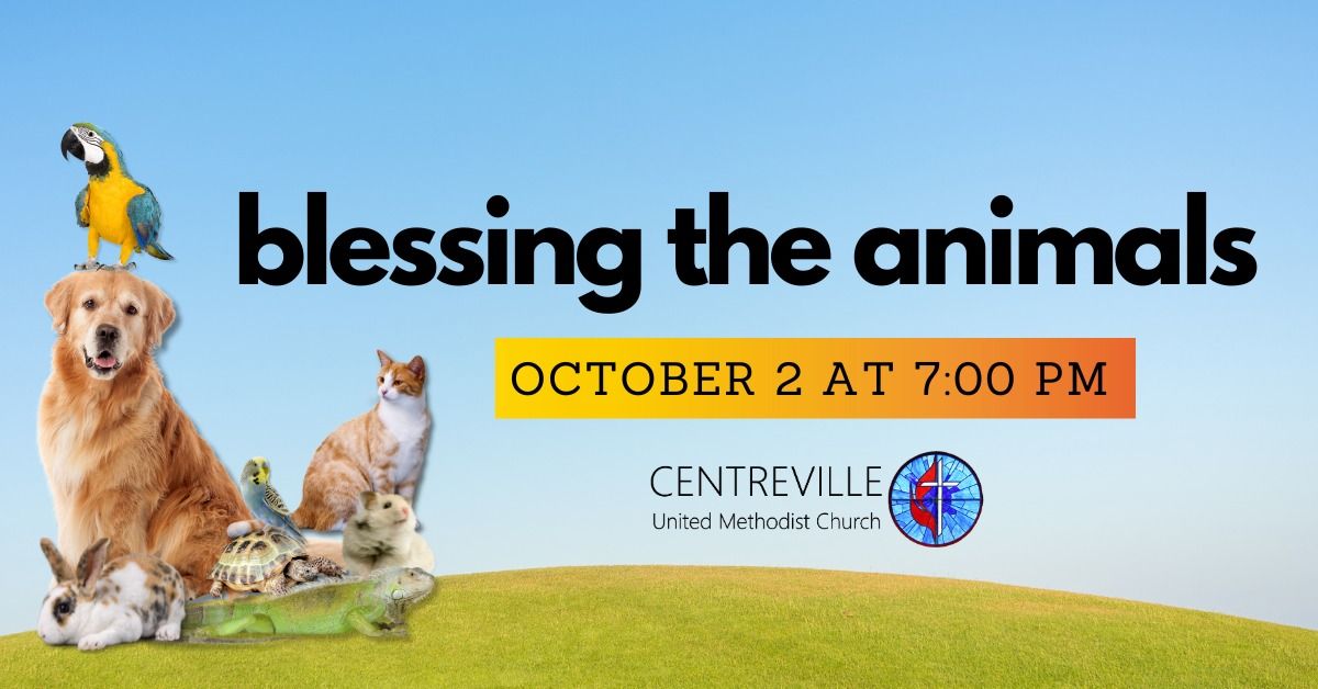 Blessing of the Animals