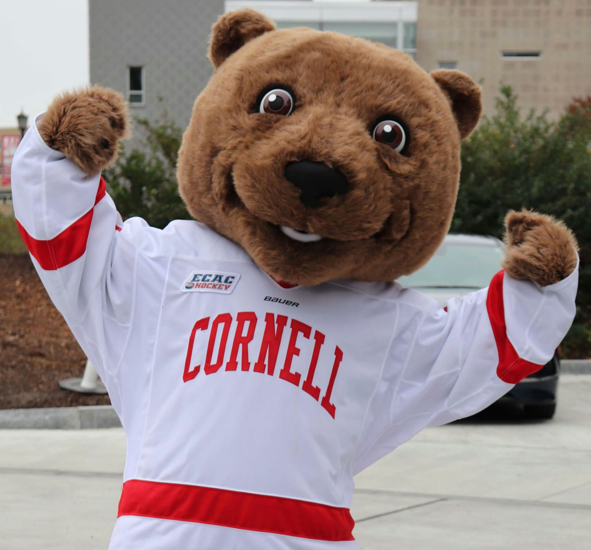 Brown Bears at Cornell Big Red Football at Schoellkopf Field